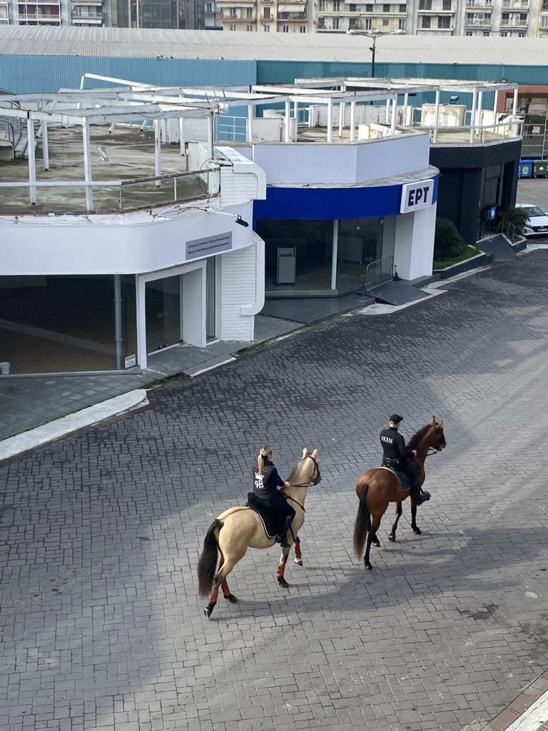 1738234446947.jpeg?v=0