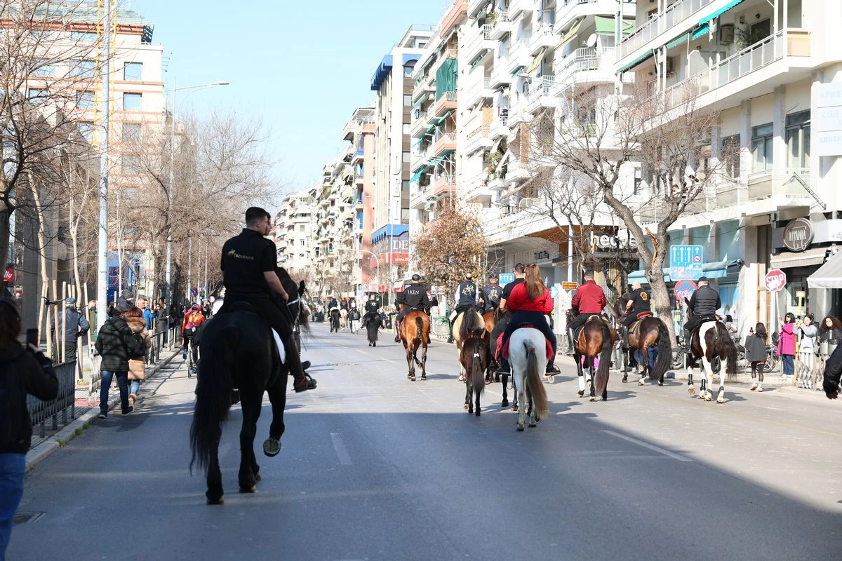 alogha1-WAl7y.jpg?v=0