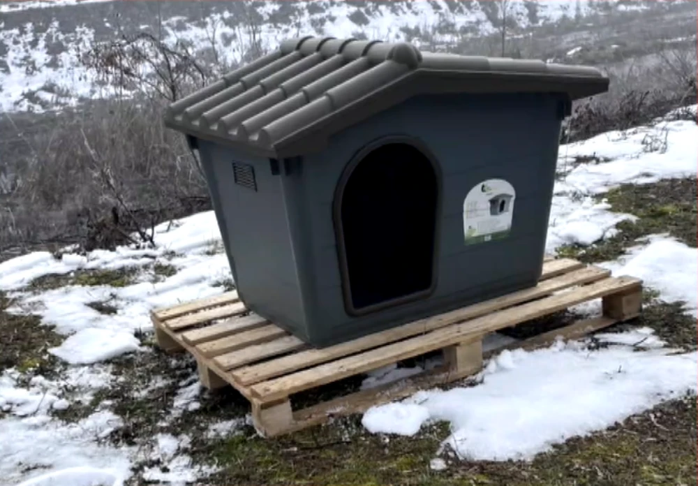 2-skilospi-1.bmp?v=0