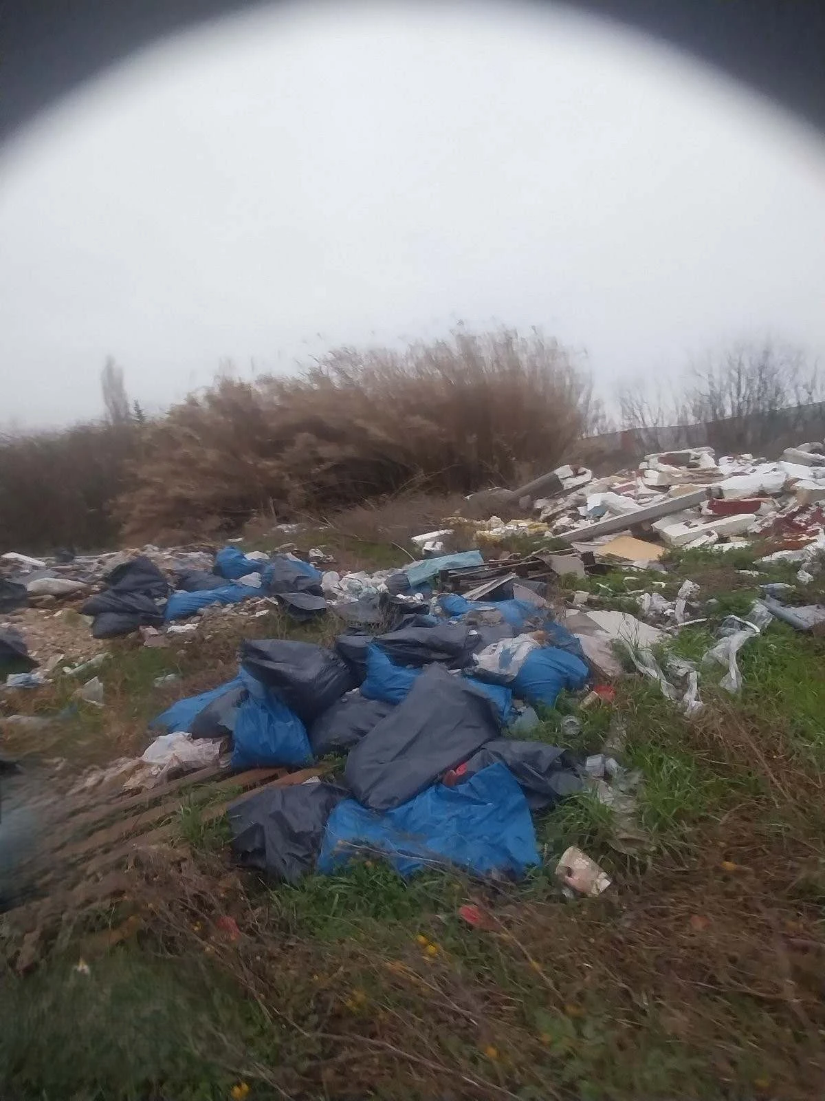 2025-02-05-foto-perivallon-2.jpg