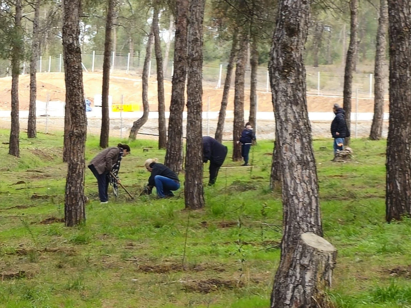 477753379-993080532875063-6565513733835085360-n.jpg?v=0