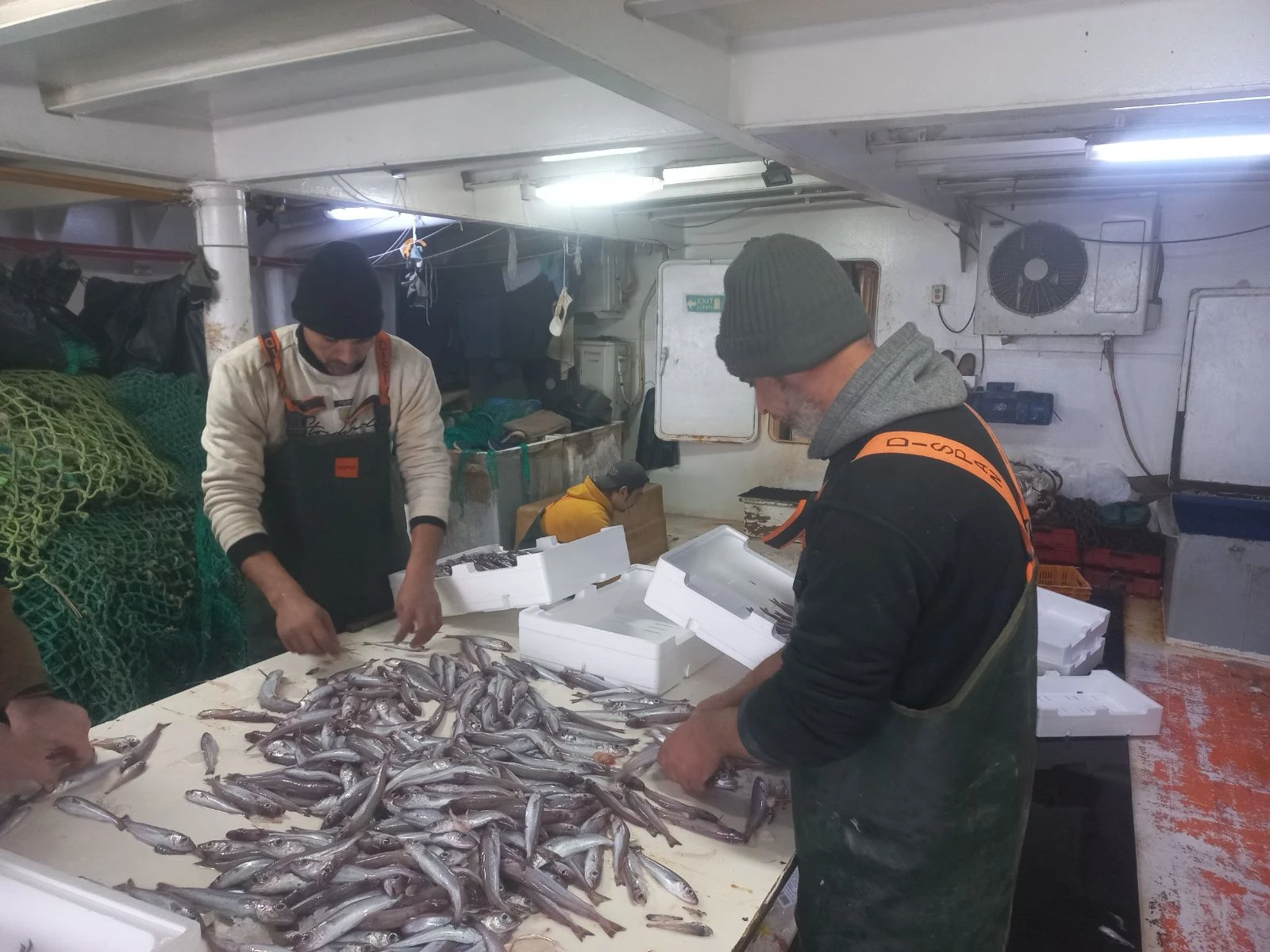 Φωτογραφία κατά τη διαλογή των ψαριών από τους αλιεργάτες