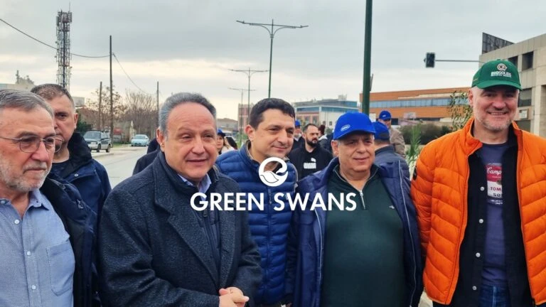 greenswans-1.jpg?v=0