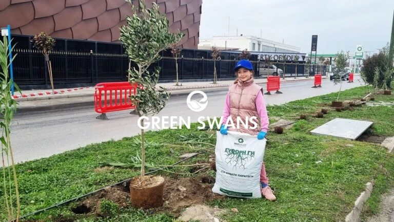 greenswans-13.jpg?v=0