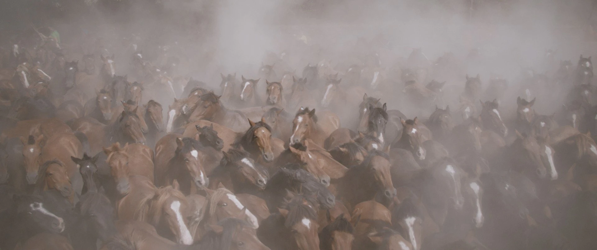 only-on-earth.jpg?v=0