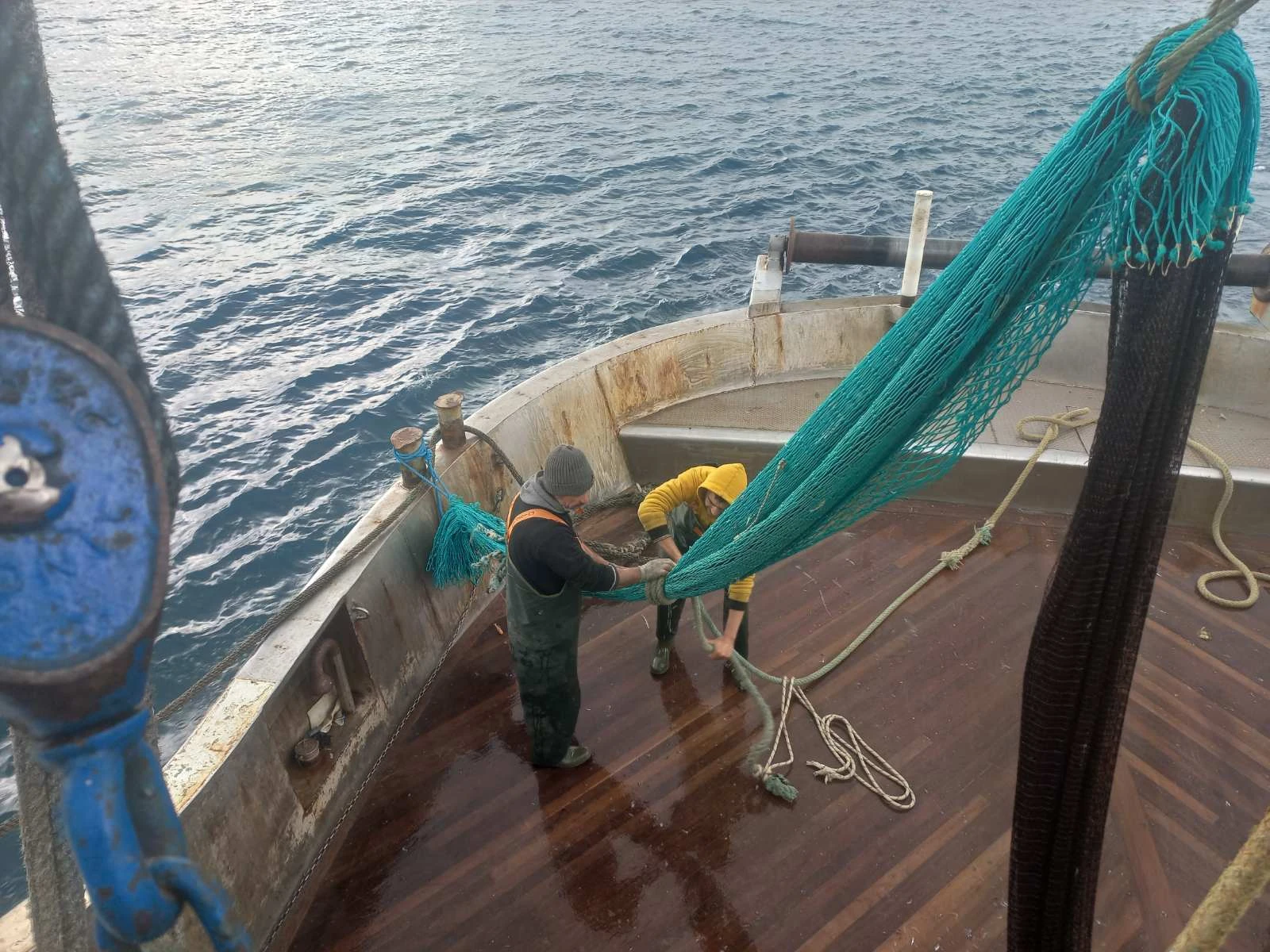 trata-alieis-mixaniona.jpg?v=0