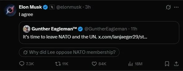musk-anartisi.jpg