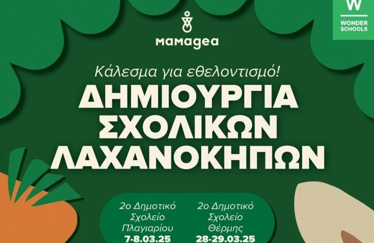 mamagea-768x499.jpg