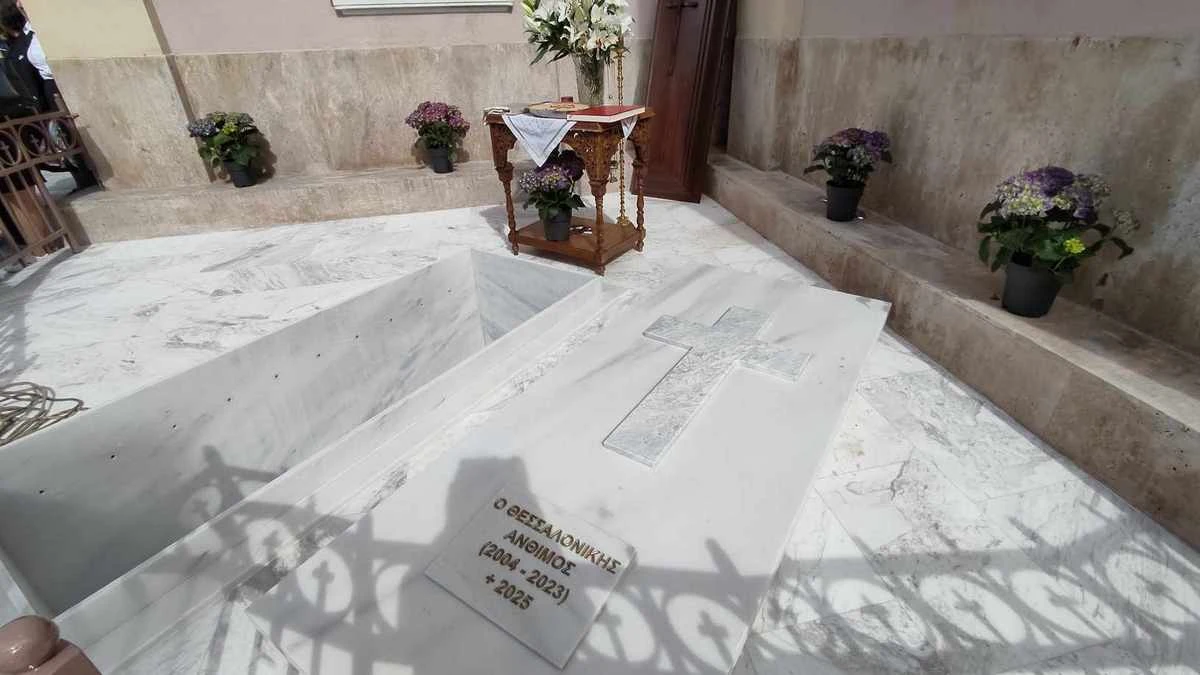 tafi-anthimou1.jpg?v=0