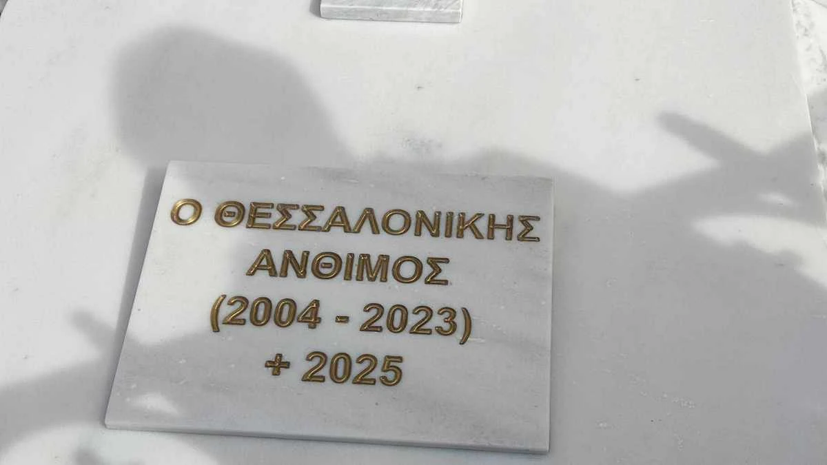 tafi-anthimou2.jpg?v=0