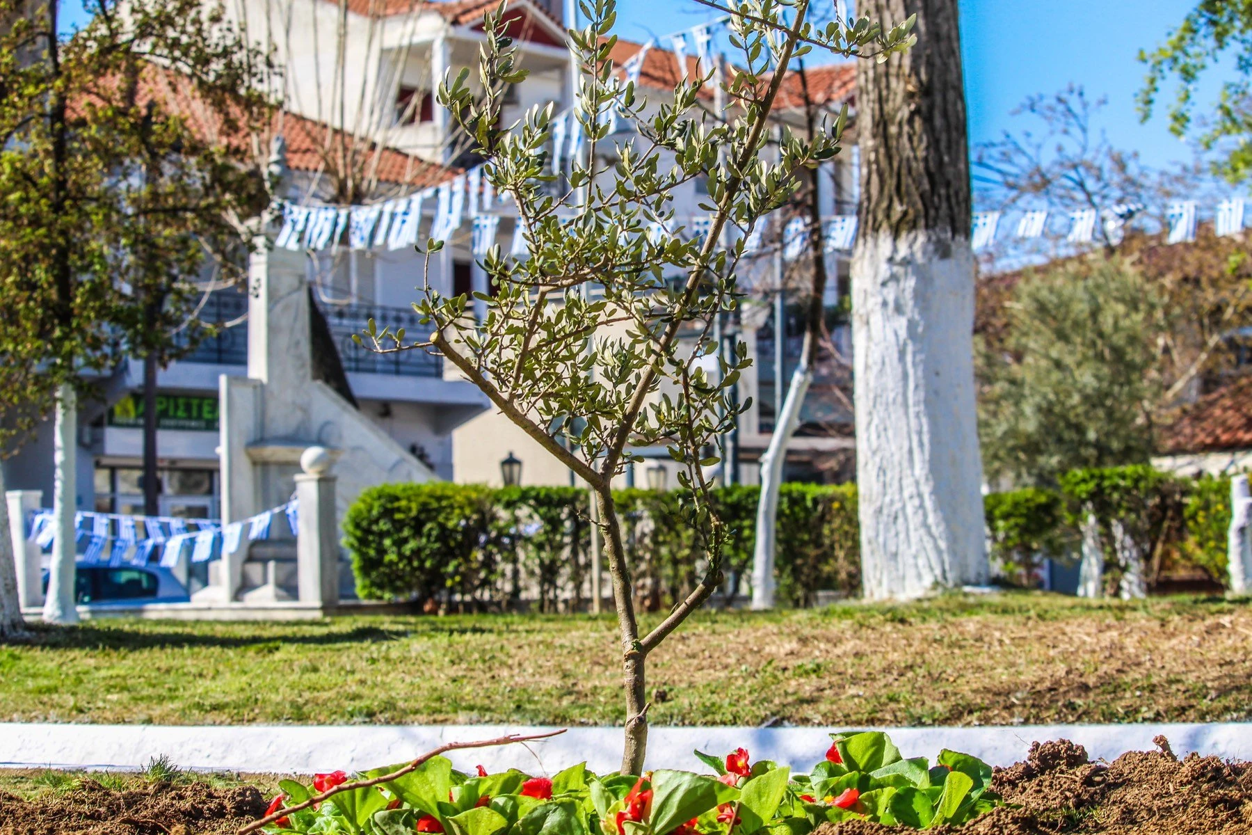 2025-03-21-14-07-45-832.jpg?v=0