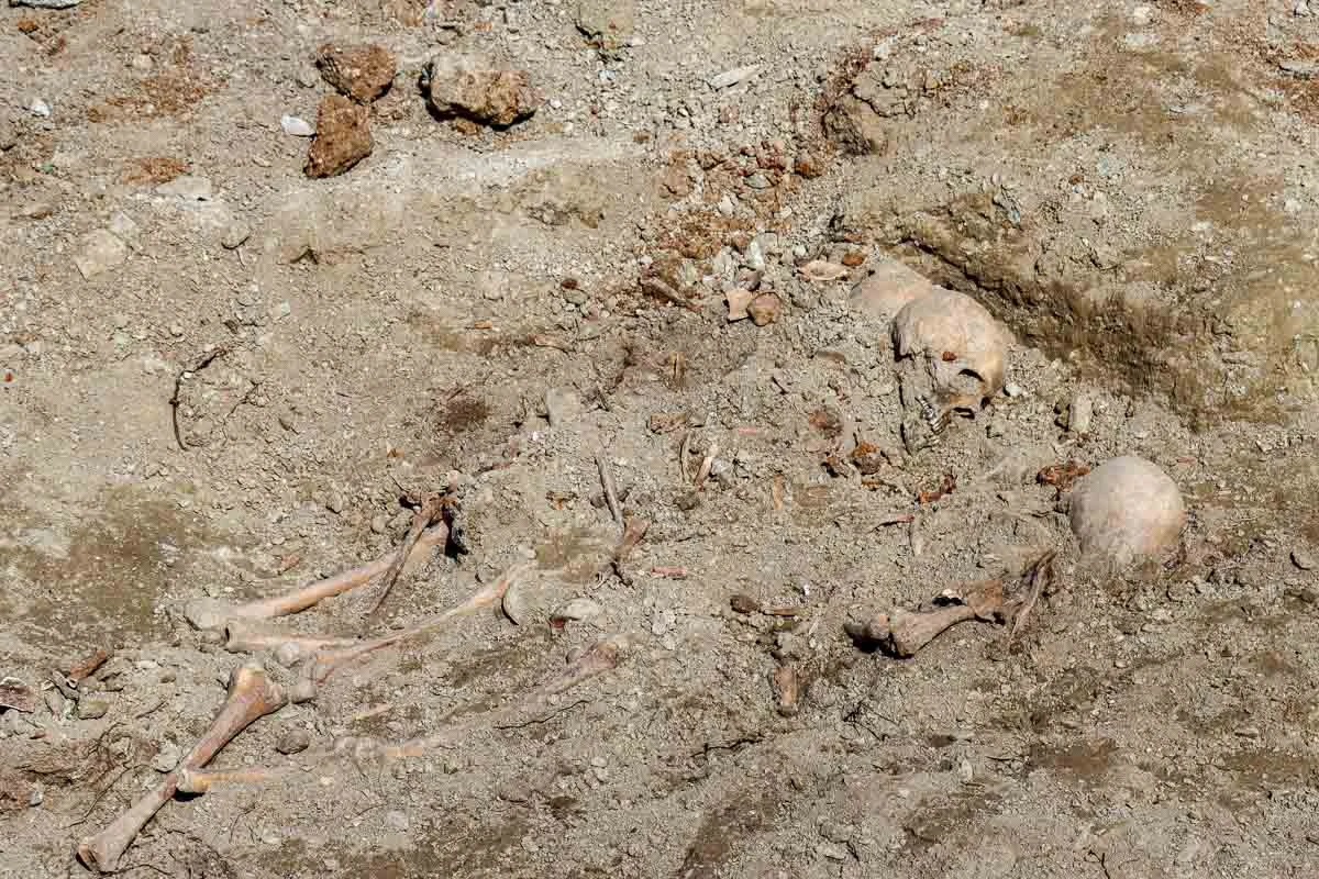          Φωτ. Δήμος Νεάπολης - Συκεών     