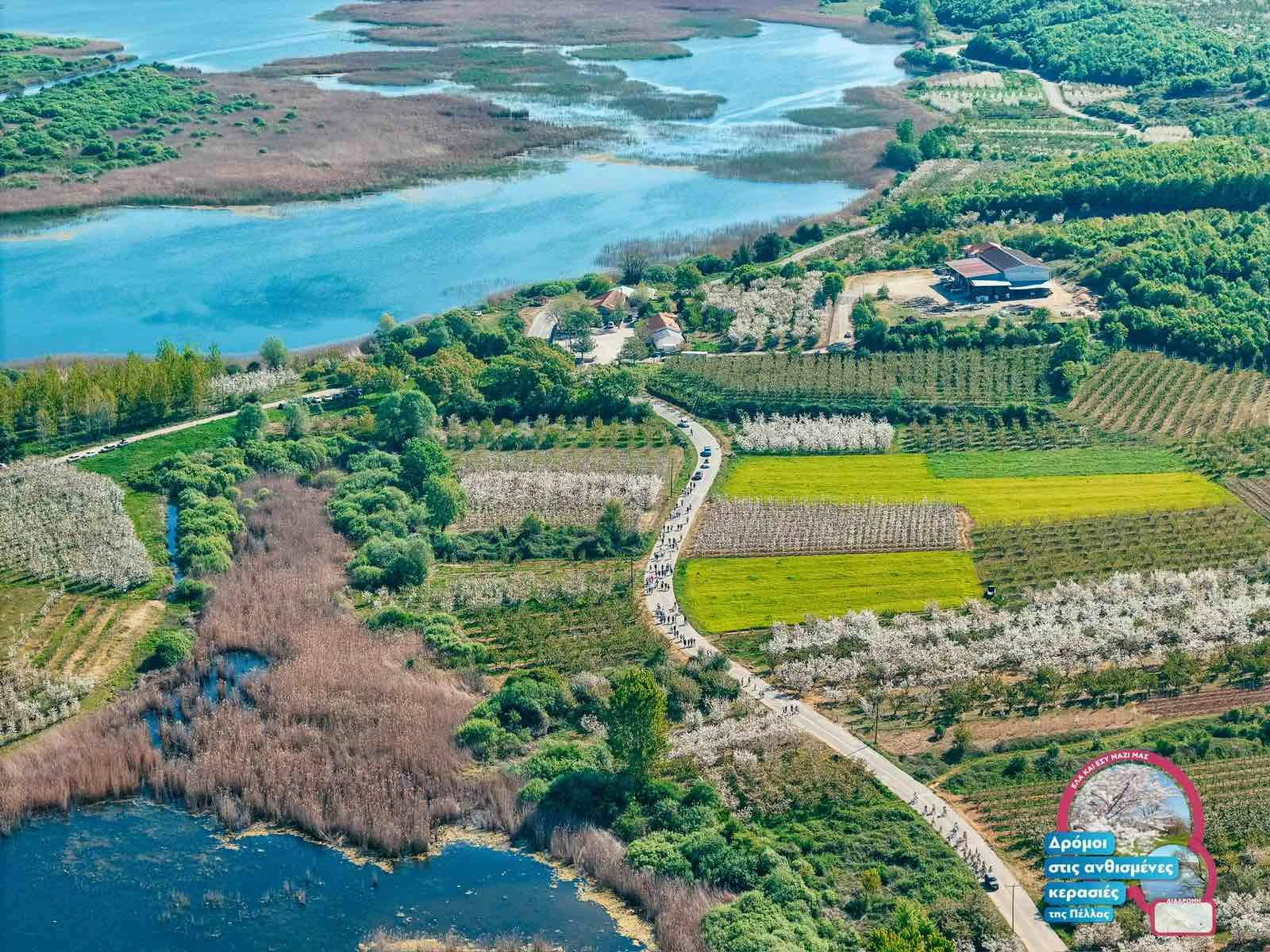 1743491541600.jpg?v=0