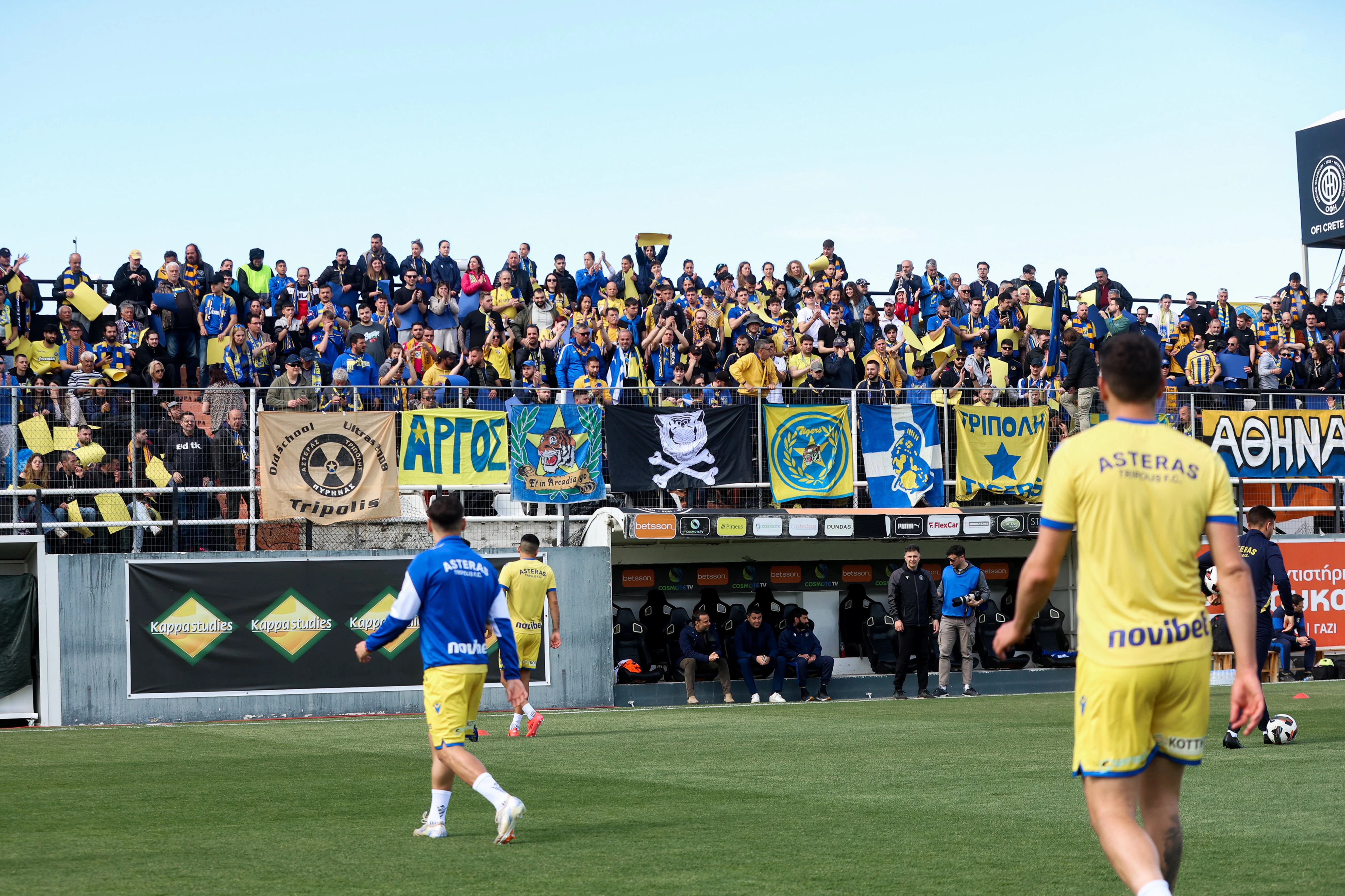 asteras.jpg