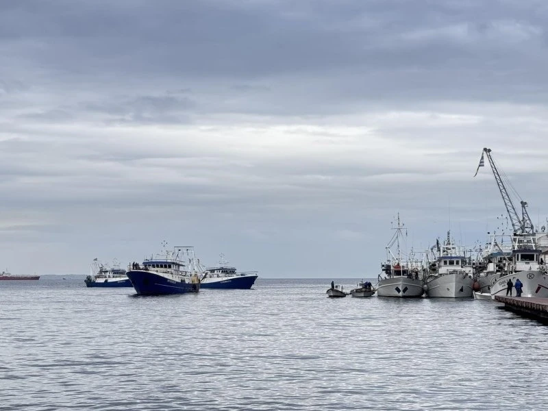 diamartyria-psarades-thessaloniki1.jpg?v=0