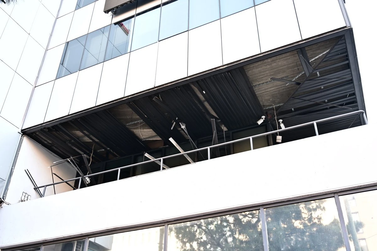 iellenips-train1.jpg?v=0