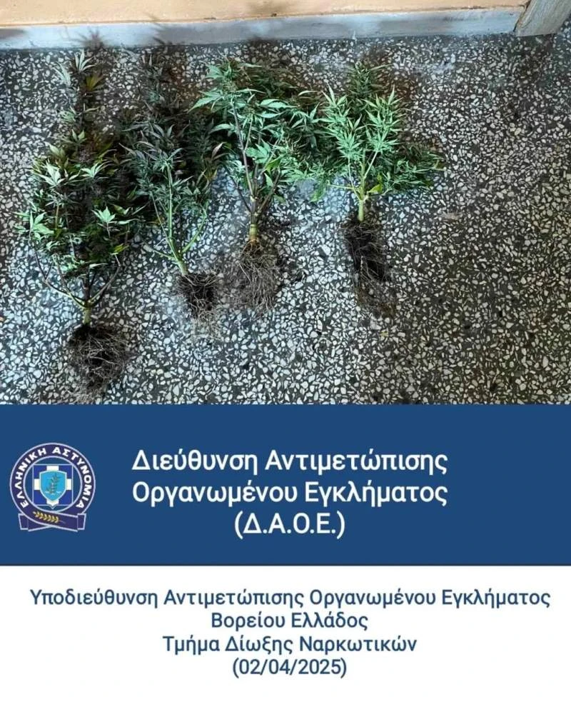 narkotika.jpg