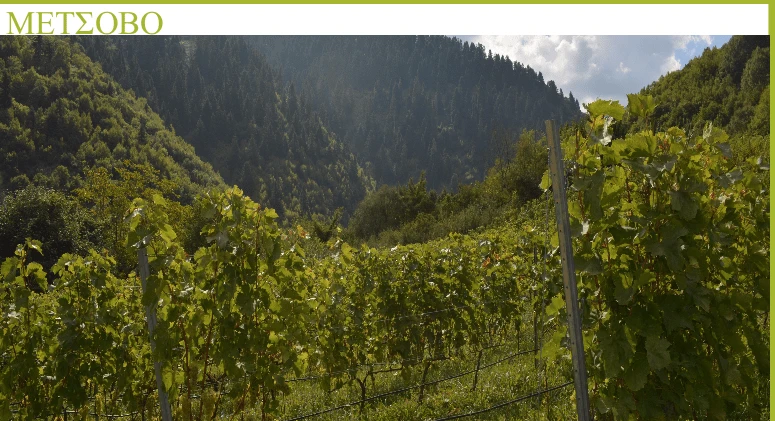 pyrroyampelos-metsovo.png?v=0