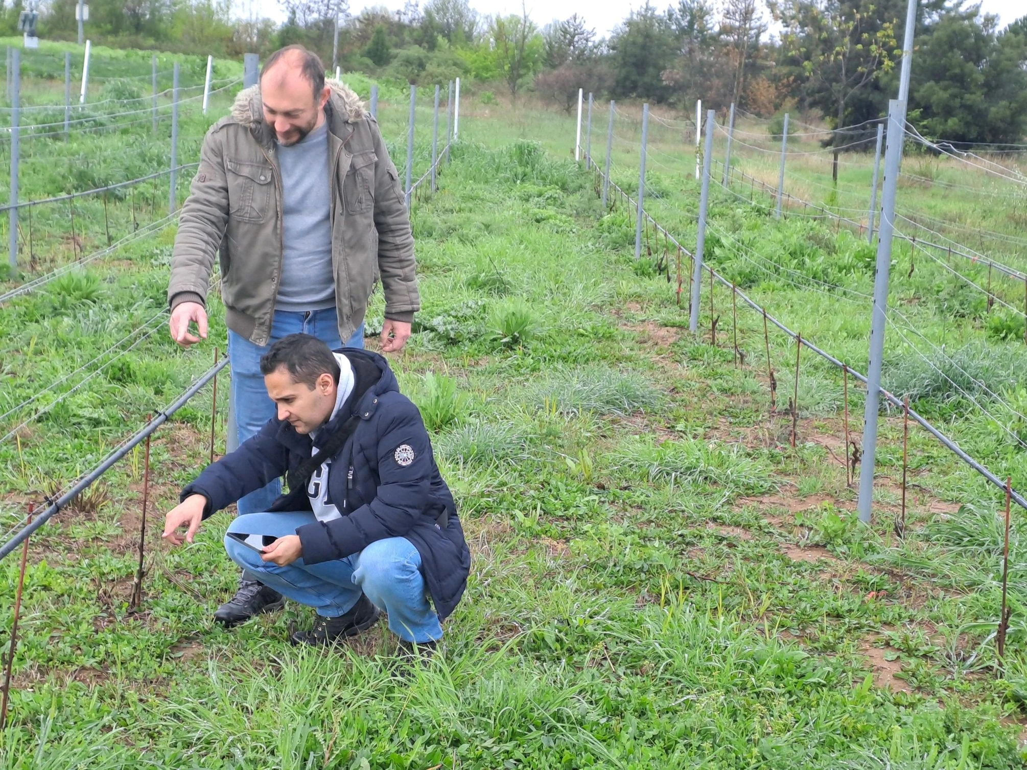 startupdrama1.jpg?v=0