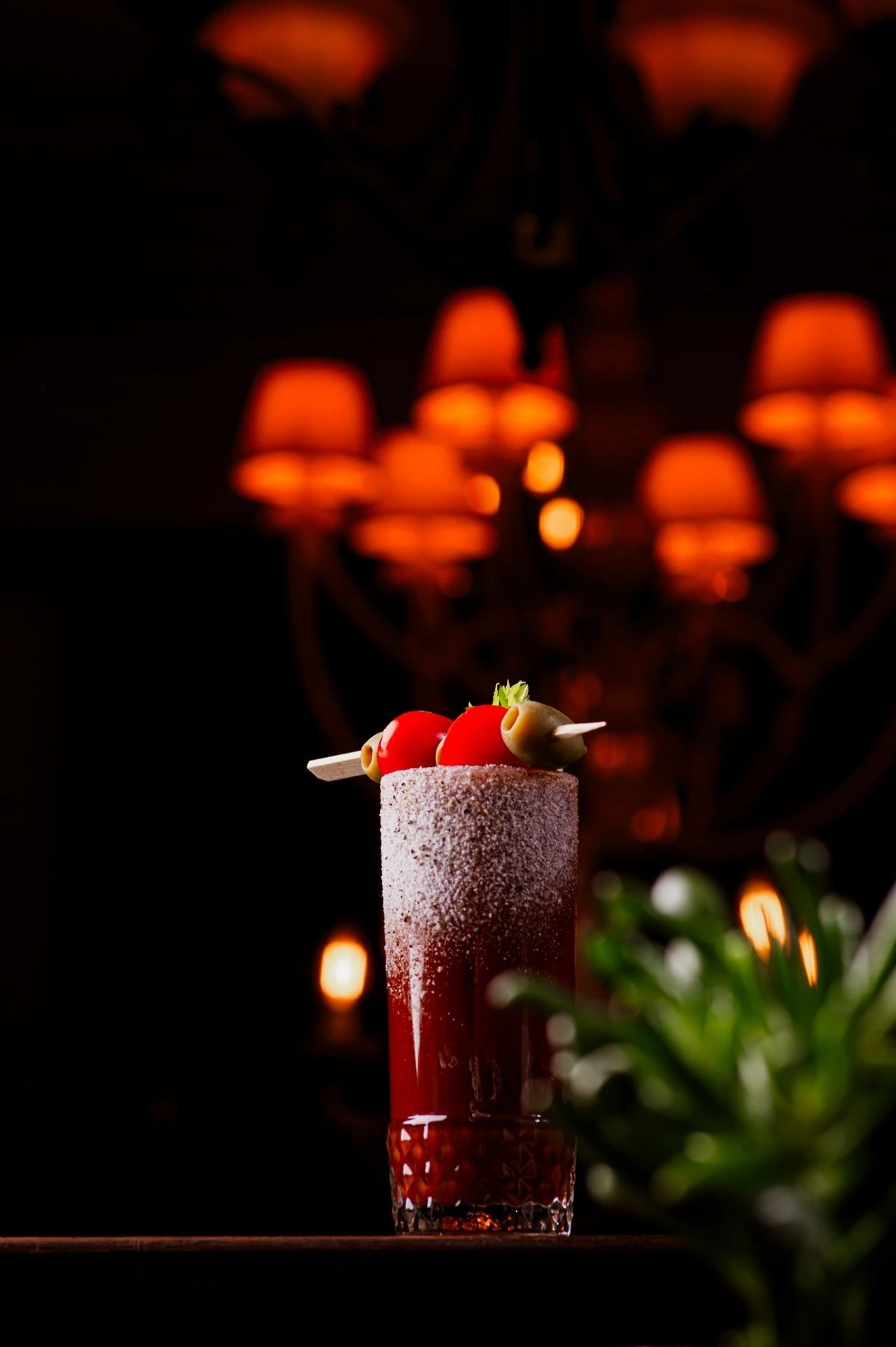 stoa-bar16.jpg?v=0