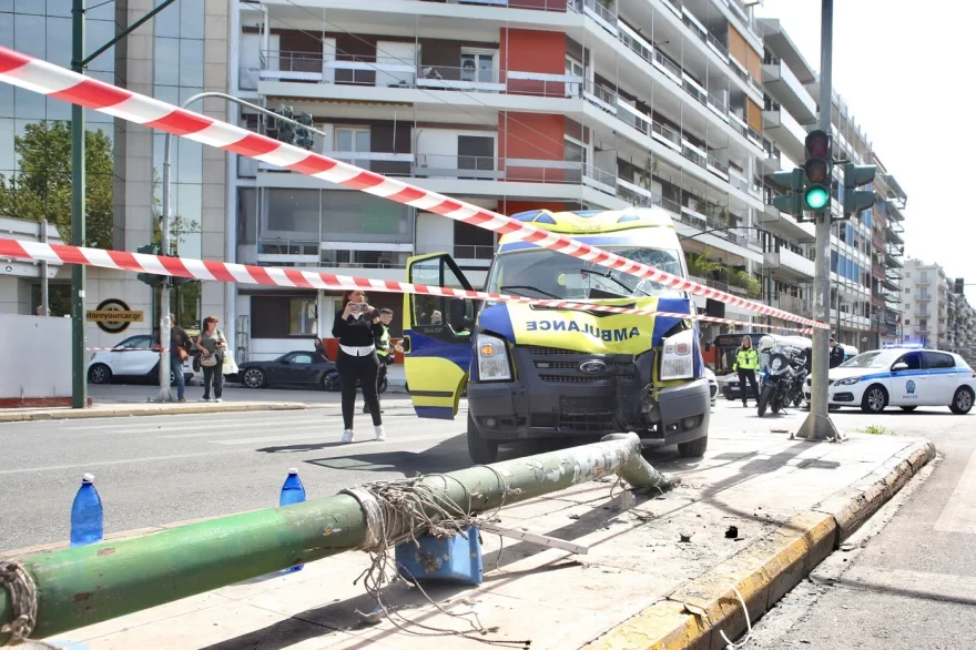 asthenoforo-1.webp?v=0