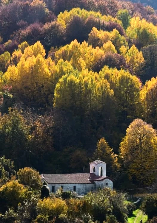 naiknefrokopi2.jpg?v=0