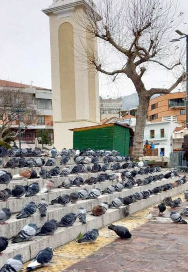 xanthi-roloi-peristeria1.jpg