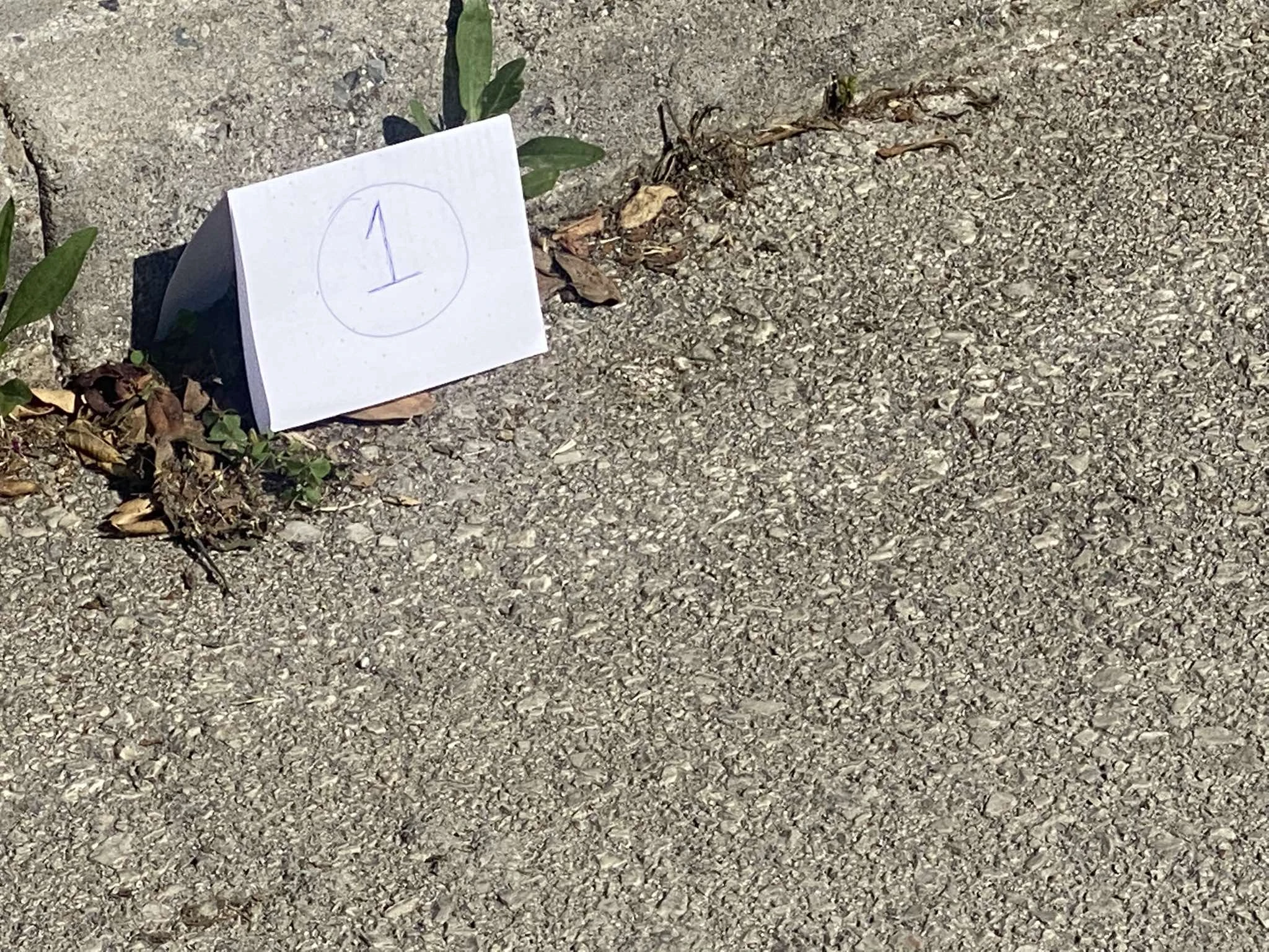 494328312-1026803392928955-6565382457563262809-n.jpg