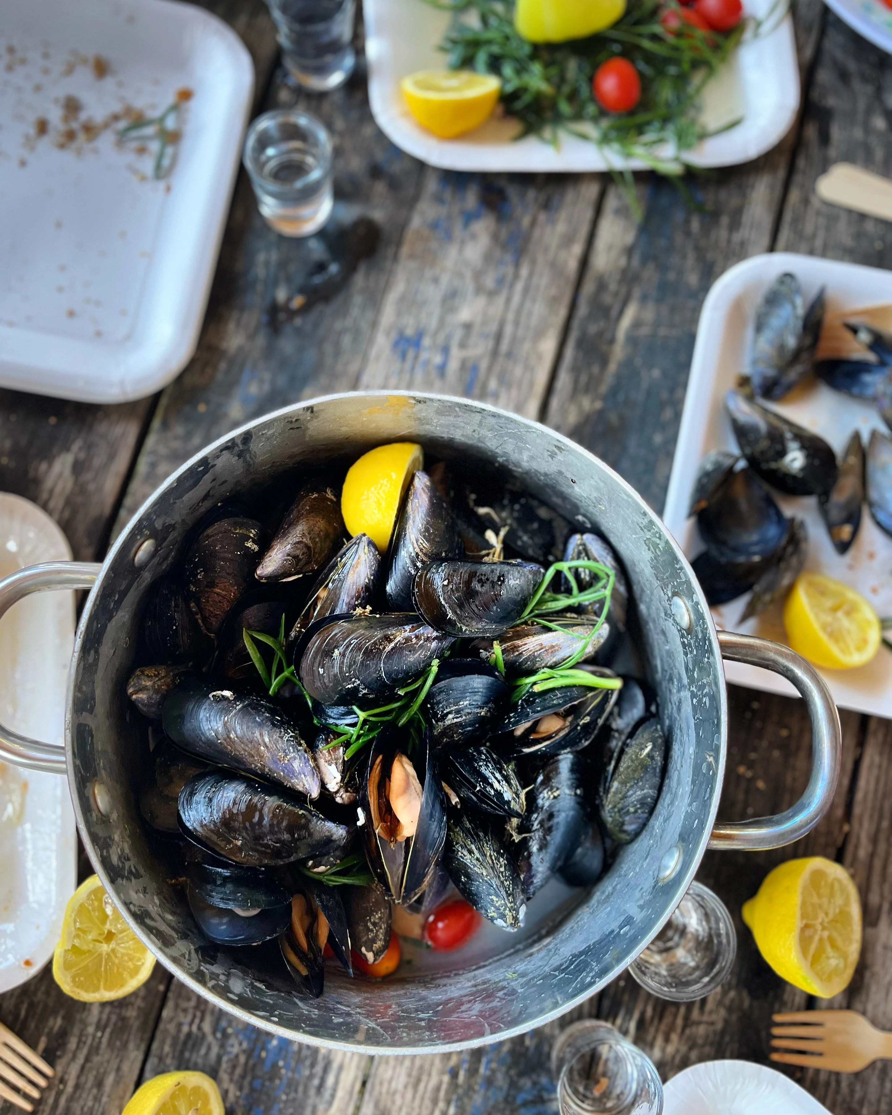 4c177fb4-1a91-4627-b20e-fe4c1adf288c-1.JPG?v=0