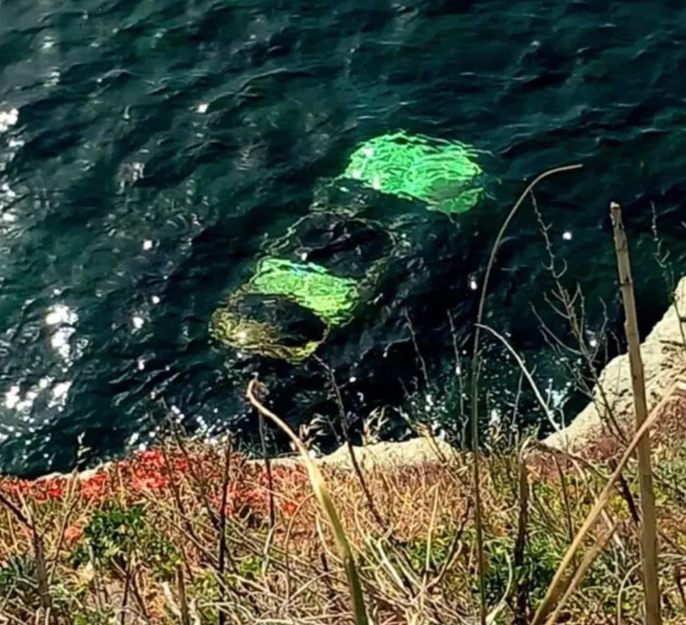 andros-atixima-3.png?v=0