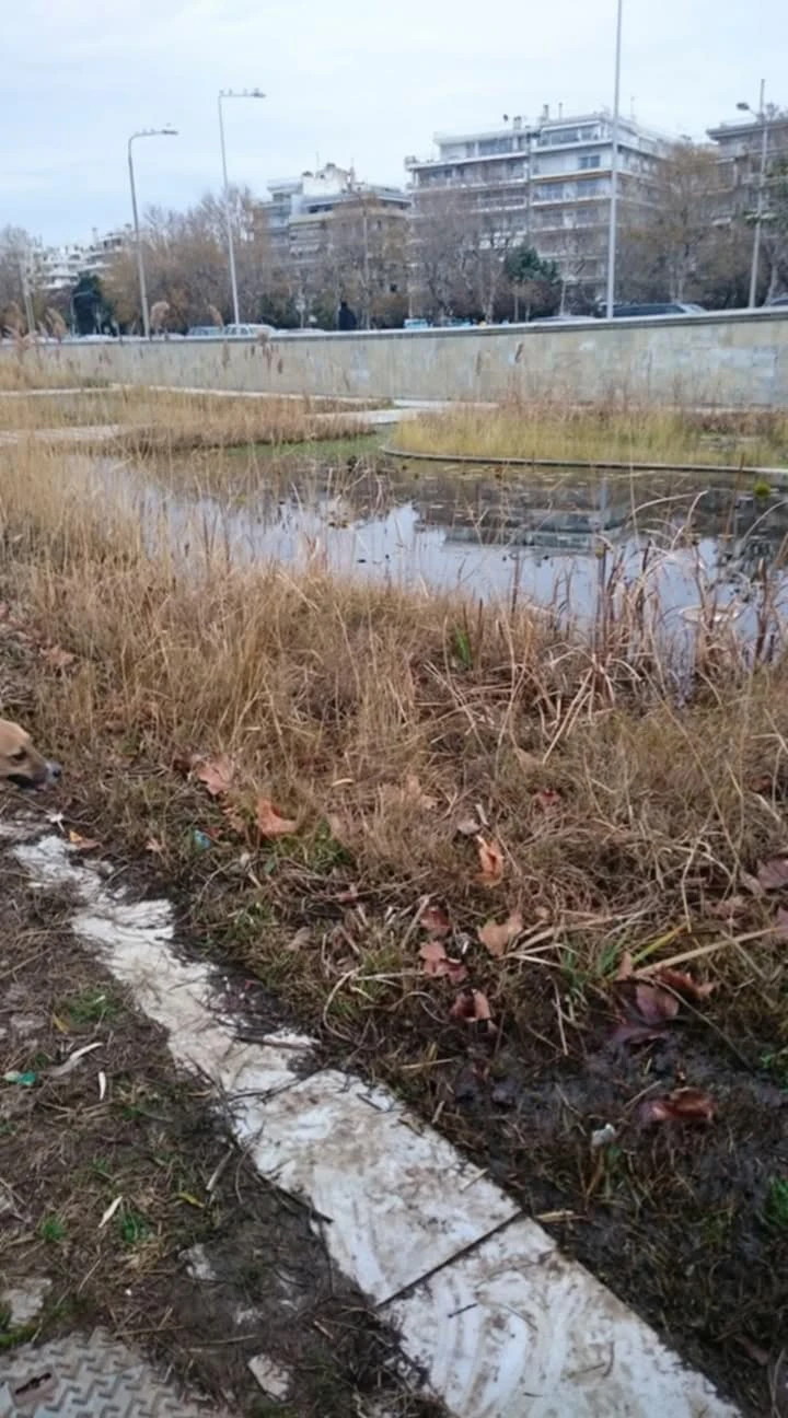 Ο Κήπος του Νερού κατά την περίοδο διοίκησης Ζέρβα