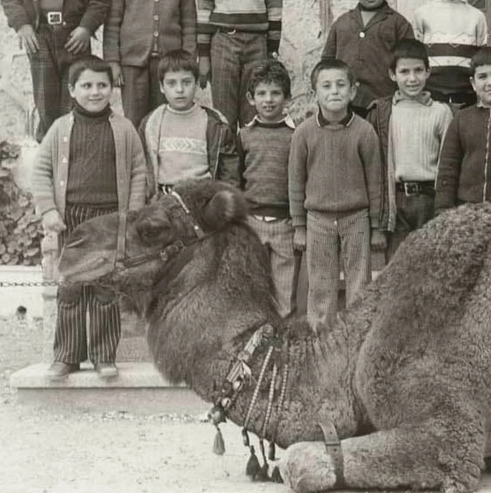 Μαθητής της Β’ δημοτικού στα Χανιά μπροστά από μια πλανόδια καμήλα. Ο Μιχάλης Μπλέτσας είναι δεύτερος από αριστερά