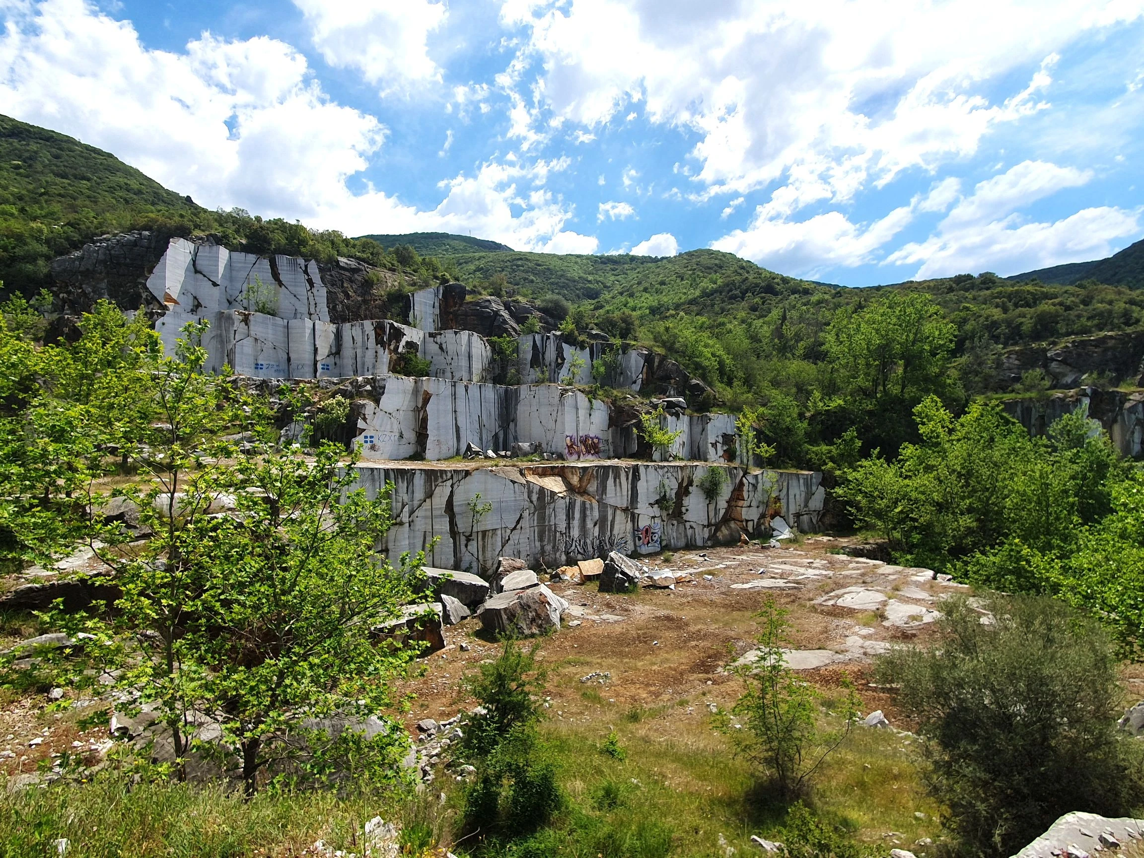 perivalmonopati4.jpg?v=0