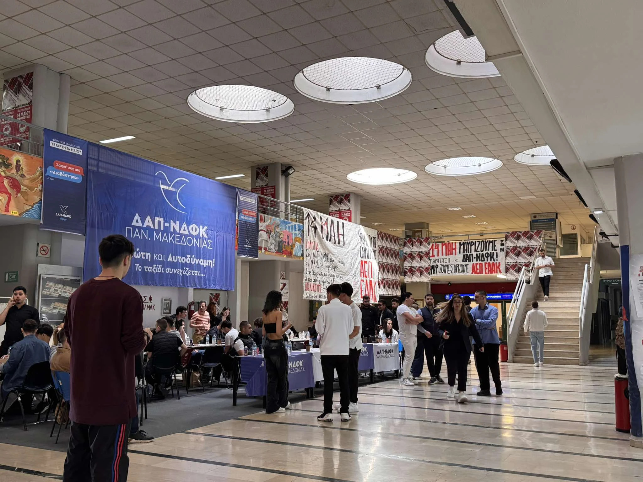 494328396-1377688103382443-983753545122299122-n.jpg?v=0