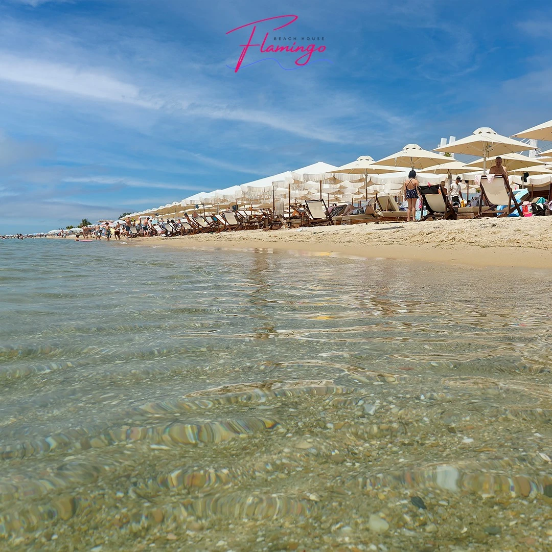 beach-house-15.jpg?v=0