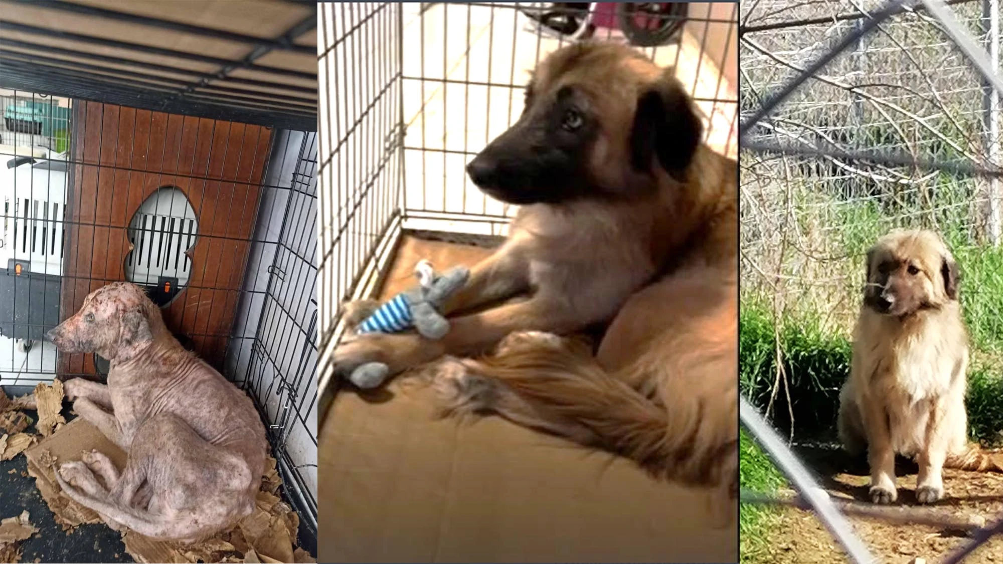 iothesiaskylu2.jpg