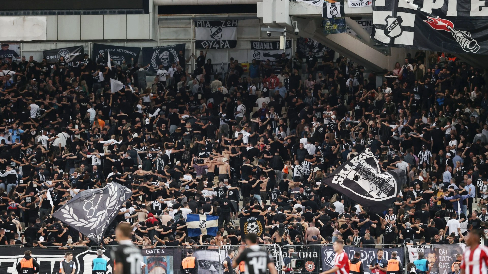 ofi-18.jpg