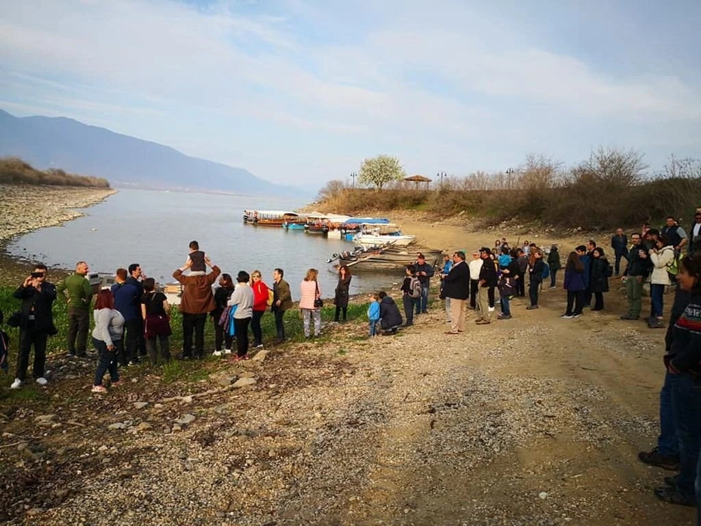 argyropelekanoi-kerkini3.jpg