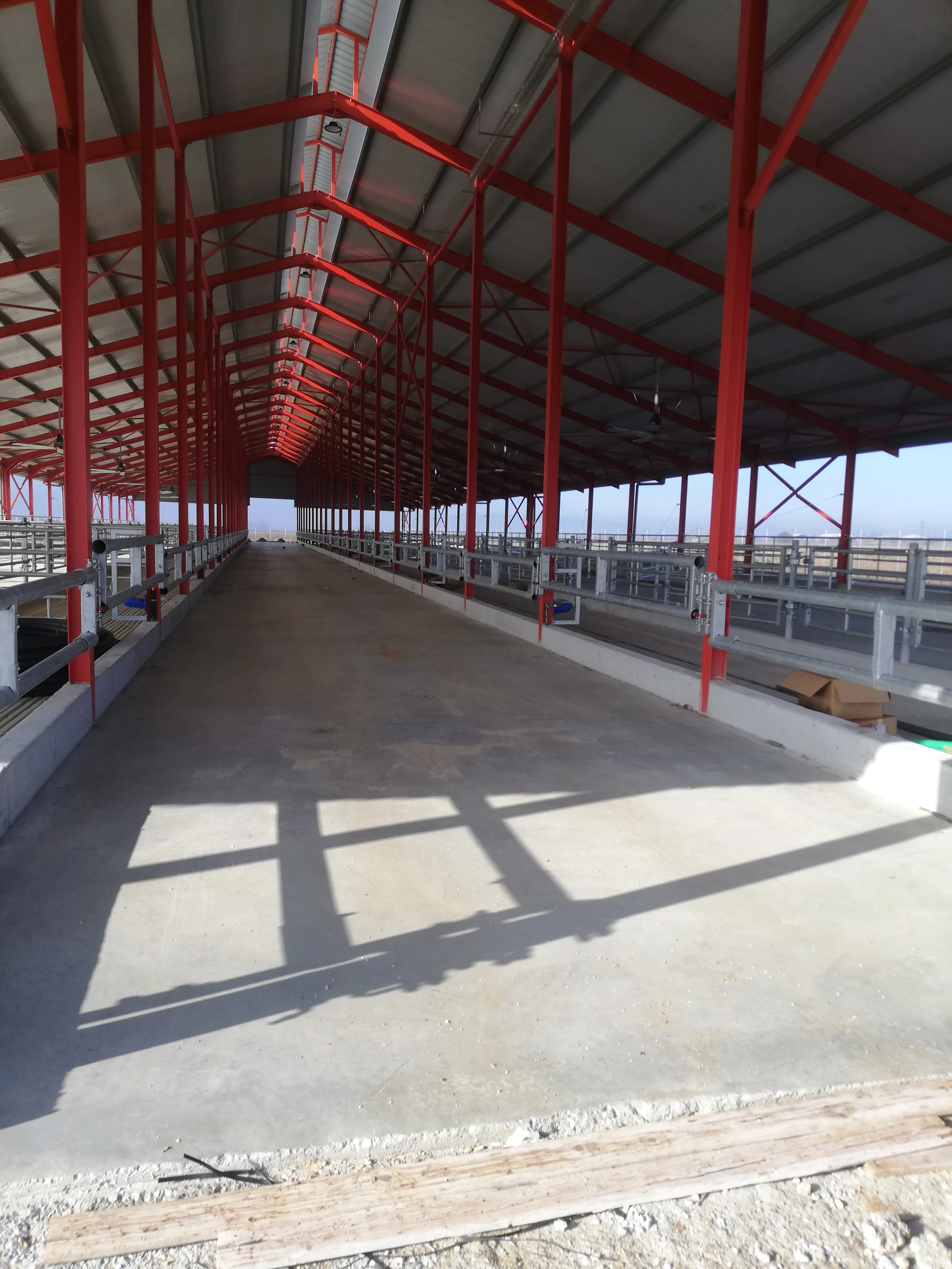 img-20250125-104316.jpg?v=0