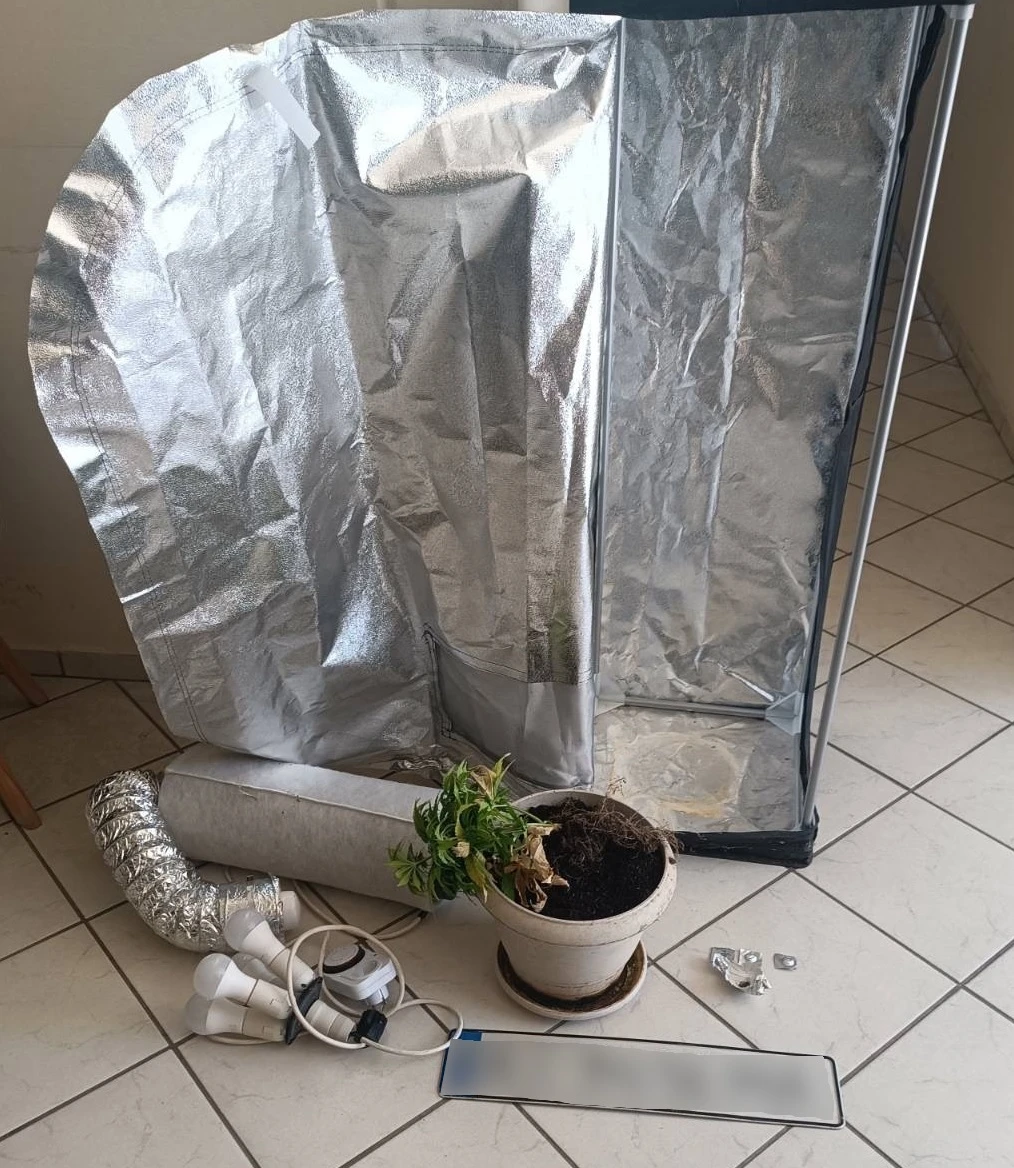 kataschesi-at-moydanion.jpeg?v=0