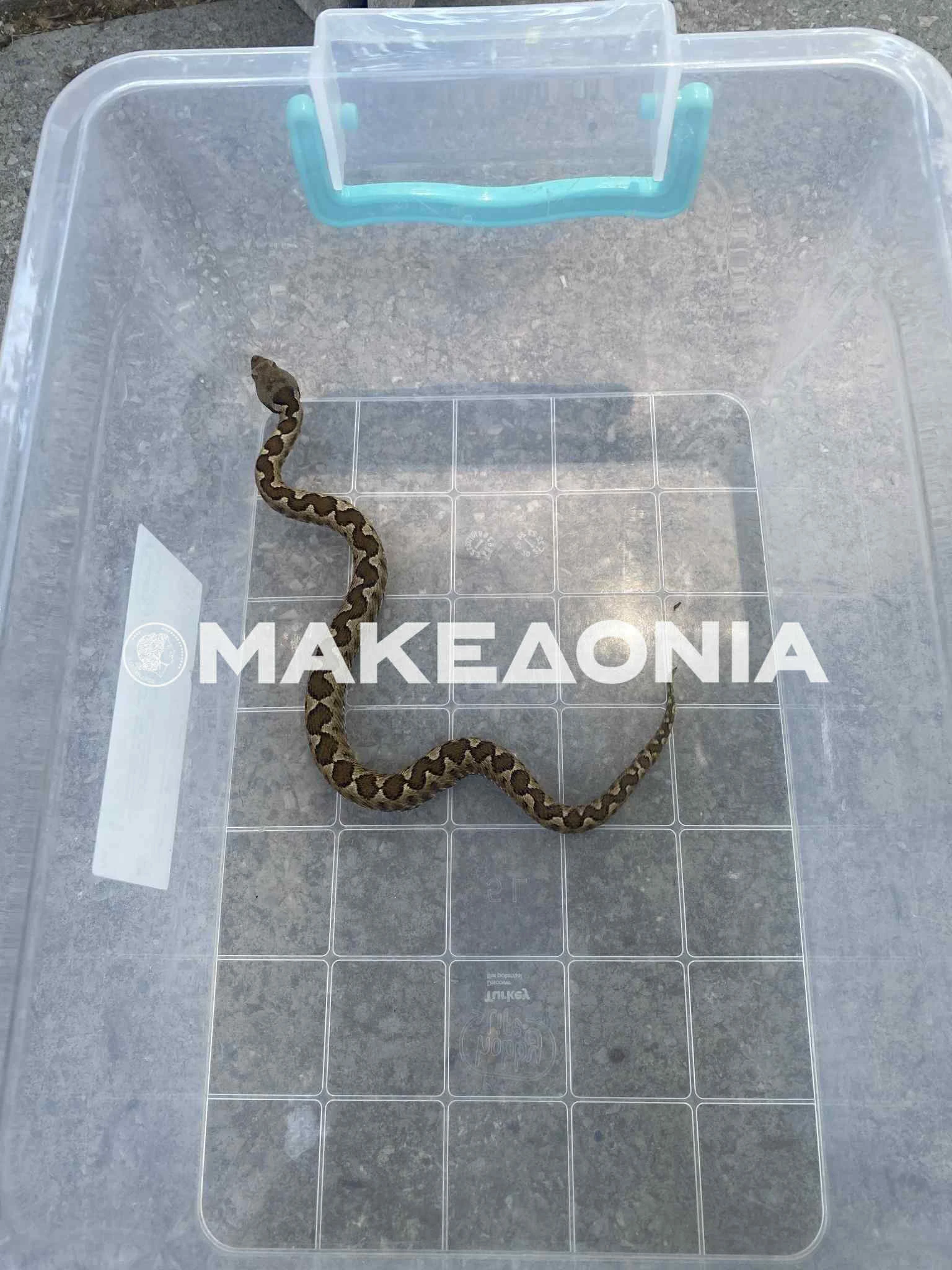 oxiapanorama-01.jpg