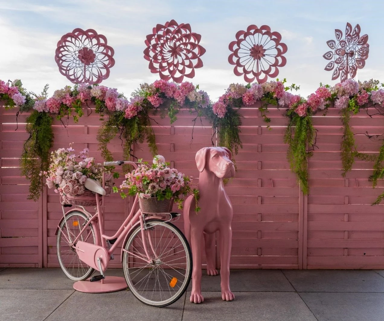 pink-dot-19.jpg?v=0