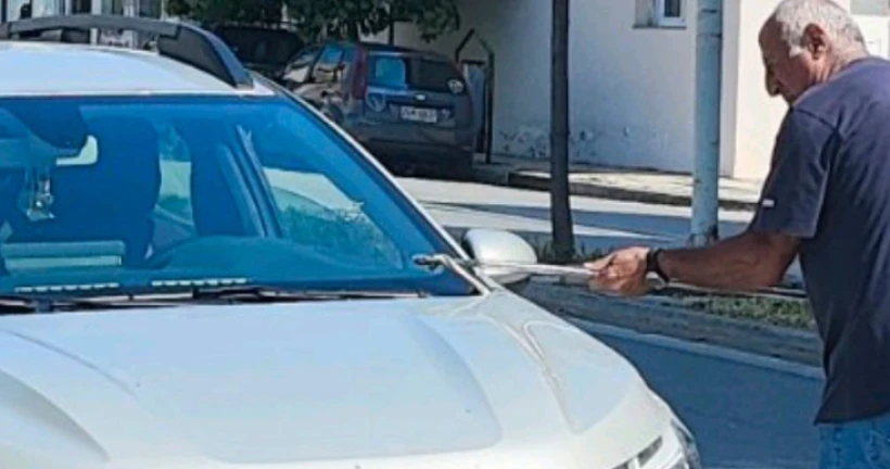 snake-car2.png