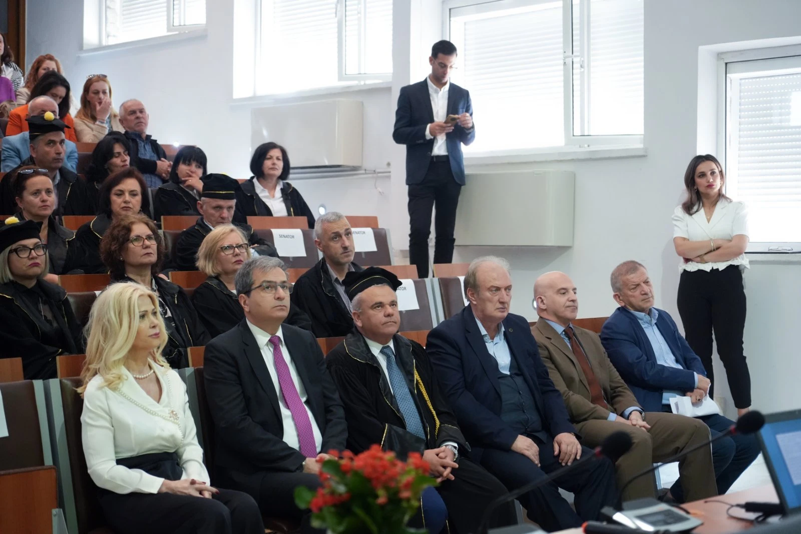timitiki-diakrisi-6.jpg