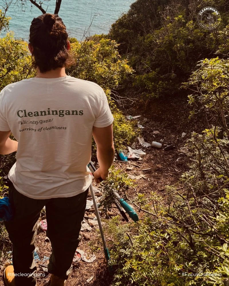cleaningans1.jpg?v=0