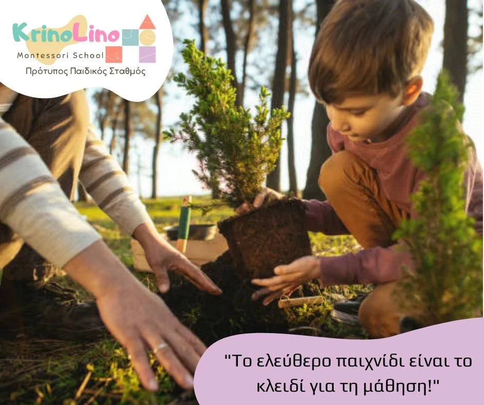 krinolino19.jpg?v=0