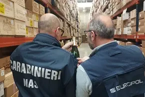 picture-12-copyright-europol-and-caribinieri-nas.webp?v=0