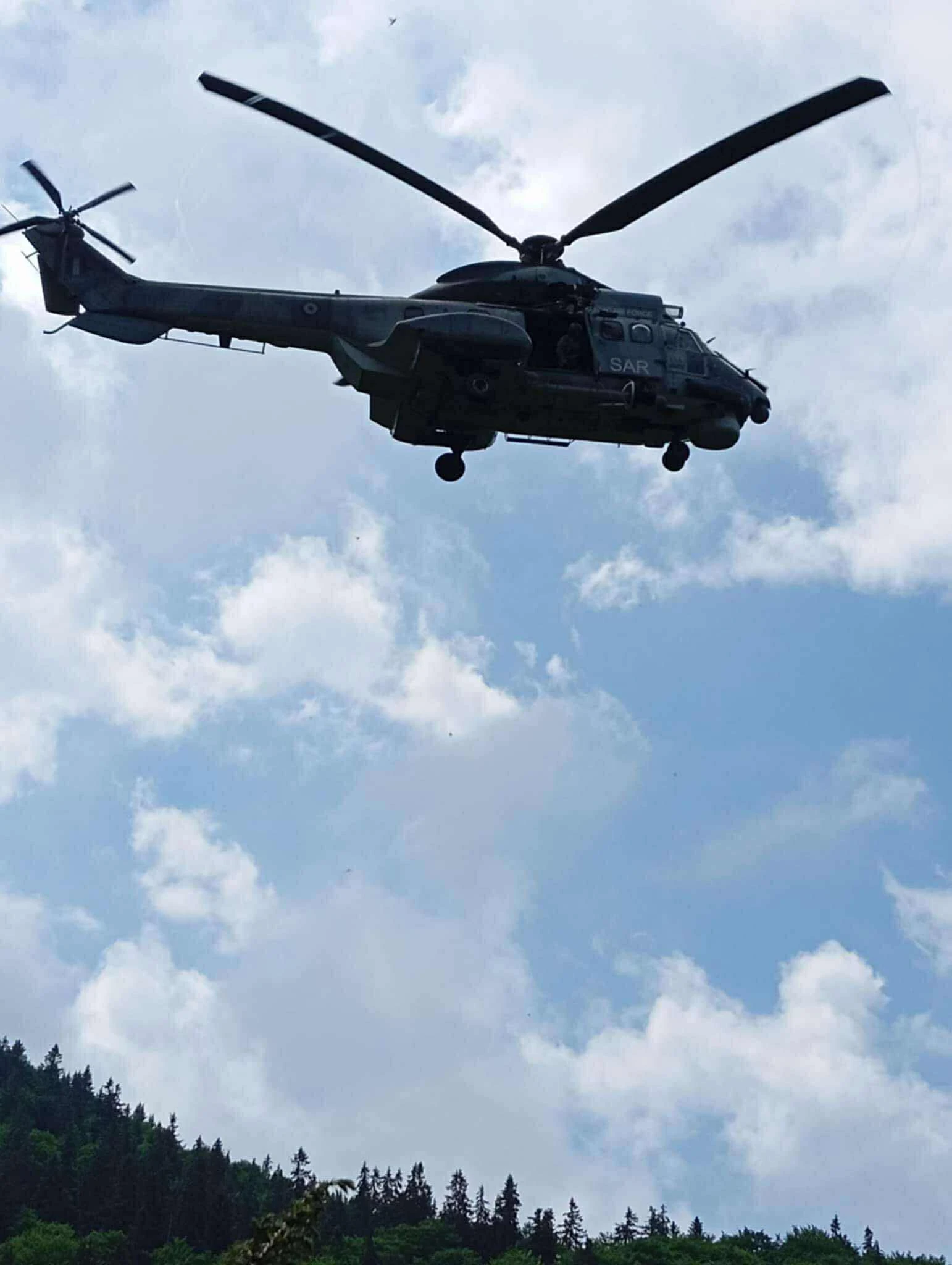 super-puma.jpg?v=0