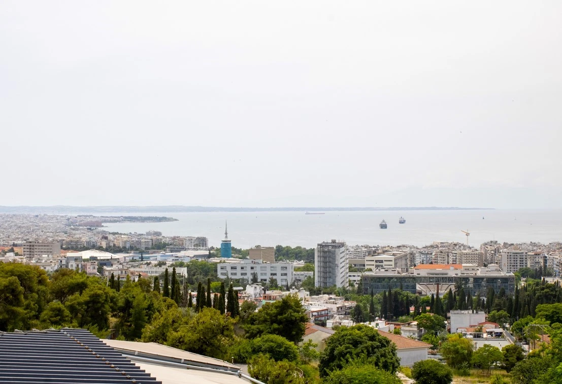 to-ktima20.jpg?v=0