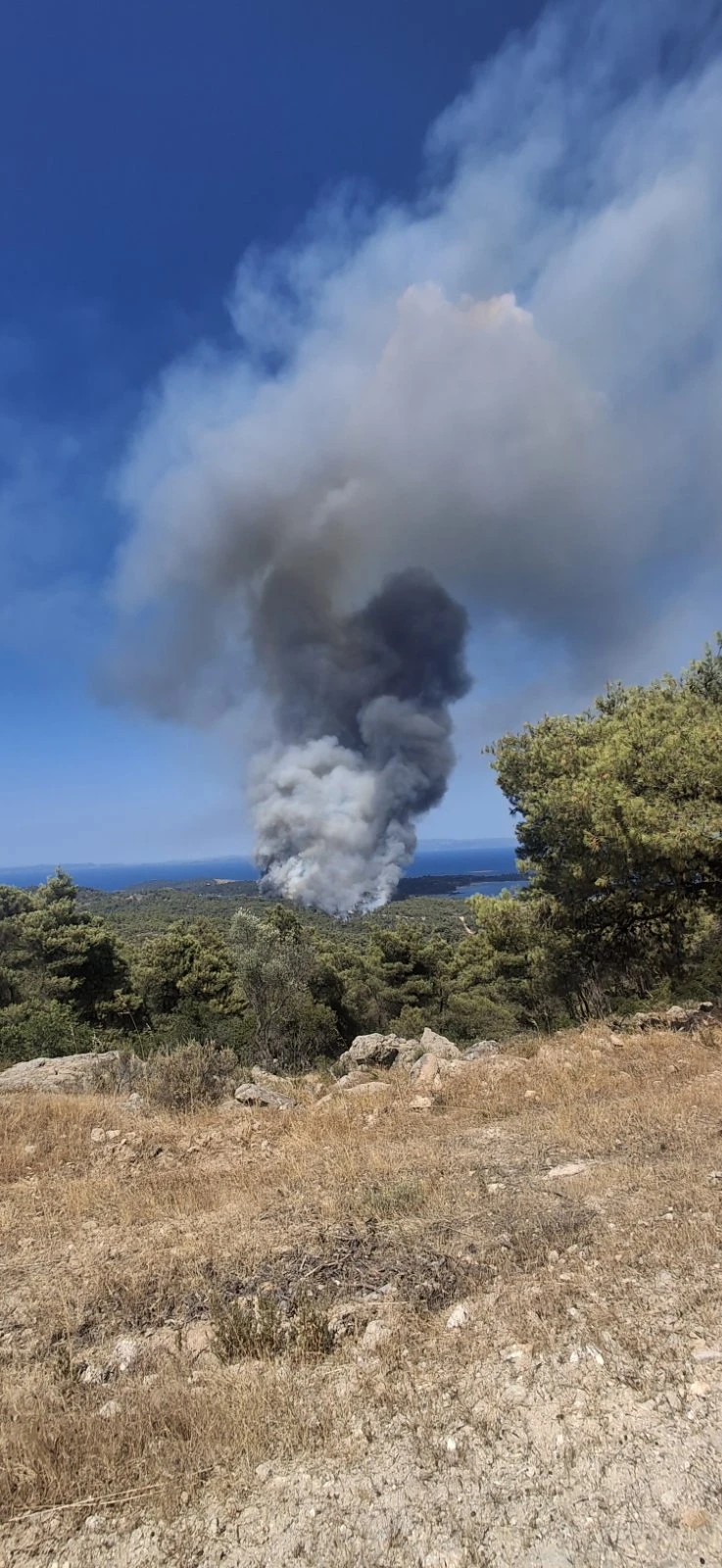 fotia-voyrvoyroy-1.jpg?v=0